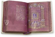 Book of Hours of Cardinal Carafa – ArtCodex – ms. vat. lat. 9490 – Biblioteca Apostolica Vaticana (Vatican City, Vatican City State)