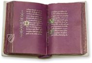 Book of Hours of Cardinal Carafa – ArtCodex – ms. vat. lat. 9490 – Biblioteca Apostolica Vaticana (Vatican City, Vatican City State)