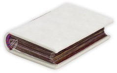 Book of Hours of Cardinal Carafa – ArtCodex – ms. vat. lat. 9490 – Biblioteca Apostolica Vaticana (Vatican City, Vatican City State)