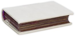 Book of Hours of Cardinal Carafa – ArtCodex – ms. vat. lat. 9490 – Biblioteca Apostolica Vaticana (Vatican City, Vatican City State)