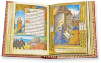 Book of Hours of Guyot Le Peley – Ms. 3901 – Bibliothèque municipale (Troyes, France) Facsimile Edition