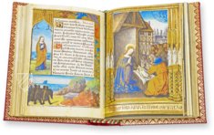 Book of Hours of Guyot Le Peley – Orbis Mediaevalis – Ms. 3901 – Bibliothèque municipale (Troyes, France)
