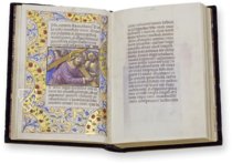 Book of Hours of Ippolita Maria Sforza – CM Editores – Ms. 66 – Biblioteca de la Abadía de Montserrat (Montserrat, Spain)