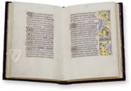 Book of Hours of Ippolita Maria Sforza – CM Editores – Ms. 66 – Biblioteca de la Abadía de Montserrat (Montserrat, Spain)