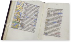 Book of Hours of Ippolita Maria Sforza – CM Editores – Ms. 66 – Biblioteca de la Abadía de Montserrat (Montserrat, Spain)