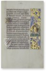 Book of Hours of Ippolita Maria Sforza – CM Editores – Ms. 66 – Biblioteca de la Abadía (Montserrat, Spain)