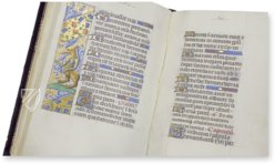 Book of Hours of Ippolita Maria Sforza – Ms. 66 – Biblioteca de la Abadía (Montserrat, Spain) Facsimile Edition