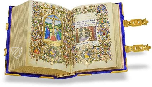 The Medici: The golden age of collecting (Firenze musei