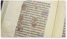 Book of Hours of the Bishop Fonseca – Siloé, arte y bibliofilia – Bibl. 6209 – Real Seminario de San Carlos Borromeo (Zaragoza, Spain)