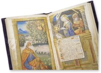 Book of Hours of the Dauphin of France – CM Editores – Ms. 1011 – Bibliothèque municipale de Grenoble (Grenoble, France)