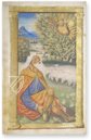 Book of Hours of the Dauphin of France – CM Editores – Ms. 1011 – Bibliothèque municipale de Grenoble (Grenoble, France)