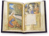 Book of Hours of the Dauphin of France – Ms. 1011 – Bibliothèque municipale de Grenoble (Grenoble, France) Facsimile Edition