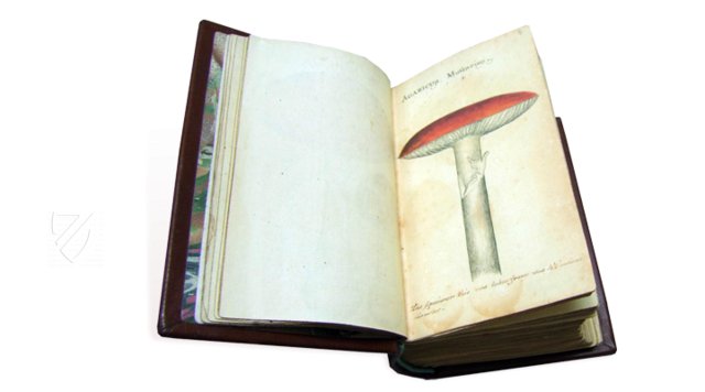 Book of Mushrooms – Private Collection Facsimile Edition