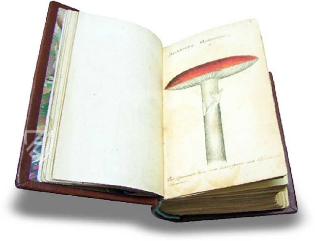 Book of Mushrooms - Ziereis Facsimiles