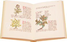 Book of Simple Medicines - Codex Bruxellensis – De Schutter – Codex Bruxellensis IV. 1024 – Bibliothèque Royale de Belgique (Brussels, Belgium) Book of Simple Medicines - Codex Bruxellensis – De Schutter – Codex Bruxellensis IV. 1024 – Bibliothèque Royale de Belgique (Brussels, Belgium)