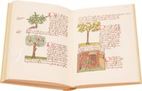 Book of Simple Medicines - Codex Bruxellensis – De Schutter – Codex Bruxellensis IV. 1024 – Bibliothèque Royale de Belgique (Brussels, Belgium)