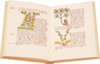 Book of Simple Medicines - Codex Bruxellensis – De Schutter – Codex Bruxellensis IV. 1024 – KBR (Koninklijke Bibliotheek van België/Bibliothèque royale de Belgique) (Brussels, Belgium) Book of Simple Medicines - Codex Bruxellensis – De Schutter – Codex Bruxellensis IV. 1024 – KBR (Koninklijke Bibliotheek van België/Bibliothèque royale de Belgique) (Brussels, Belgium)