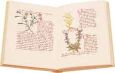 Book of Simple Medicines - Codex Bruxellensis – De Schutter – Codex Bruxellensis IV. 1024 – KBR (Koninklijke Bibliotheek van België/Bibliothèque royale de Belgique) (Brussels, Belgium) Book of Simple Medicines - Codex Bruxellensis – De Schutter – Codex Bruxellensis IV. 1024 – KBR (Koninklijke Bibliotheek van België/Bibliothèque royale de Belgique) (Brussels, Belgium)