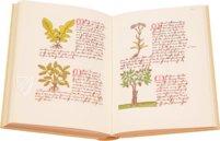 Book of Simple Medicines - Codex Bruxellensis – De Schutter – Codex Bruxellensis IV. 1024 – KBR (Koninklijke Bibliotheek van België/Bibliothèque royale de Belgique) (Brussels, Belgium) Book of Simple Medicines - Codex Bruxellensis – De Schutter – Codex Bruxellensis IV. 1024 – KBR (Koninklijke Bibliotheek van België/Bibliothèque royale de Belgique) (Brussels, Belgium)