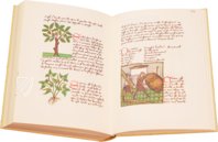 Book of Simple Medicines - Codex Bruxellensis – De Schutter – Codex Bruxellensis IV. 1024 – KBR (Koninklijke Bibliotheek van België/Bibliothèque royale de Belgique) (Brussels, Belgium) Book of Simple Medicines - Codex Bruxellensis – De Schutter – Codex Bruxellensis IV. 1024 – KBR (Koninklijke Bibliotheek van België/Bibliothèque royale de Belgique) (Brussels, Belgium)