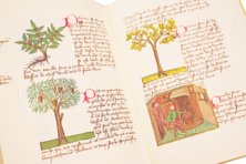 Book of Simple Medicines - Codex Bruxellensis – De Schutter – Codex Bruxellensis IV. 1024 – KBR (Koninklijke Bibliotheek van België/Bibliothèque royale de Belgique) (Brussels, Belgium) Book of Simple Medicines - Codex Bruxellensis – De Schutter – Codex Bruxellensis IV. 1024 – KBR (Koninklijke Bibliotheek van België/Bibliothèque royale de Belgique) (Brussels, Belgium)