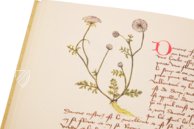 Book of Simple Medicines - Codex Bruxellensis – De Schutter – Codex Bruxellensis IV. 1024 – KBR (Koninklijke Bibliotheek van België/Bibliothèque royale de Belgique) (Brussels, Belgium) Book of Simple Medicines - Codex Bruxellensis – De Schutter – Codex Bruxellensis IV. 1024 – KBR (Koninklijke Bibliotheek van België/Bibliothèque royale de Belgique) (Brussels, Belgium)