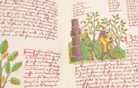 Book of Simple Medicines - Codex Bruxellensis – De Schutter – Codex Bruxellensis IV. 1024 – KBR (Koninklijke Bibliotheek van België/Bibliothèque royale de Belgique) (Brussels, Belgium) Book of Simple Medicines - Codex Bruxellensis – De Schutter – Codex Bruxellensis IV. 1024 – KBR (Koninklijke Bibliotheek van België/Bibliothèque royale de Belgique) (Brussels, Belgium)