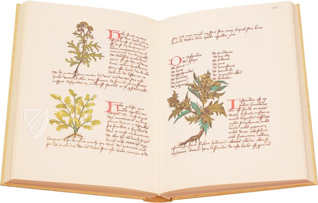Book of Simple Medicines - Codex Bruxellensis – De Schutter – MS IV 1024 – KBR (Koninklijke Bibliotheek van België