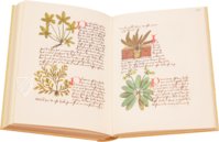 Book of Simple Medicines - Codex Bruxellensis – De Schutter – MS IV 1024 – KBR (Koninklijke Bibliotheek van België