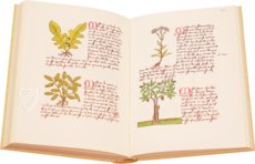 Book of Simple Medicines - Codex Bruxellensis – De Schutter – MS IV 1024 – KBR (Koninklijke Bibliotheek van België