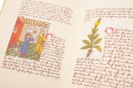 Book of Simple Medicines - Codex Bruxellensis – De Schutter – MS IV 1024 – KBR (Koninklijke Bibliotheek van België