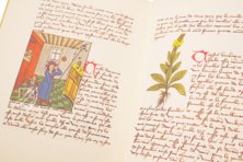 Book of Simple Medicines - Codex Bruxellensis – De Schutter – MS IV 1024 – KBR (Koninklijke Bibliotheek van België