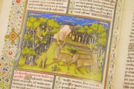 Book of the Hunt – Akademische Druck- u. Verlagsanstalt (ADEVA) – Ms. 10218 – KBR (Koninklijke Bibliotheek van België/Bibliothèque royale de Belgique) (Brussels, Belgium)