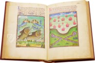 Book of the Vineyard – Istituto dell'Enciclopedia Italiana - Treccani – Ms. Douce 134 – Bodleian Library (Oxford, United Kingdom)