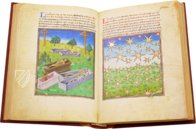 Book of the Vineyard – Istituto dell'Enciclopedia Italiana - Treccani – Ms. Douce 134 – Bodleian Library (Oxford, United Kingdom)