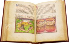 Book of the Vineyard – Istituto dell'Enciclopedia Italiana - Treccani – Ms. Douce 134 – Bodleian Library (Oxford, United Kingdom)