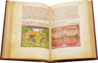 Book of the Vineyard – Istituto dell'Enciclopedia Italiana - Treccani – Ms. Douce 134 – Bodleian Library (Oxford, United Kingdom)