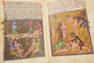 Book of the Vineyard – Istituto dell'Enciclopedia Italiana - Treccani – Ms. Douce 134 – Bodleian Library (Oxford, United Kingdom)
