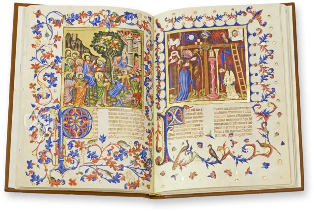 Breviary of Martin of Aragon – Reales Sitios – MSS Rothschild 2529 – Bibliothèque nationale de France (Paris, France)