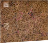 Calligraphy Master's Album by Franz Joachim Brechtel – Quaternio Verlag Luzern – JH.Msc.Art.88 – Staatsbibliothek Bamberg (Bamberg, Germany)