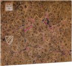 Calligraphy Master's Album by Franz Joachim Brechtel – Quaternio Verlag Luzern – JH.Msc.Art.88 – Staatsbibliothek Bamberg (Bamberg, Germany)