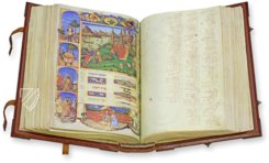 Canon Medicinae Avicenna – AyN Ediciones – Ms. 2197 – Biblioteca Universitaria di Bologna (Bologna, Italy)