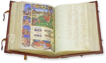 Canon Medicinae Avicenna – AyN Ediciones – Ms. 2197 – Biblioteca Universitaria di Bologna (Bologna, Italy)