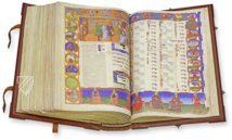 Canon Medicinae Avicenna – AyN Ediciones – Ms. 2197 – Biblioteca Universitaria di Bologna (Bologna, Italy)