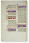 Canon Medicinae Avicenna – AyN Ediciones – Ms. 2197 – Biblioteca Universitaria di Bologna (Bologna, Italy)