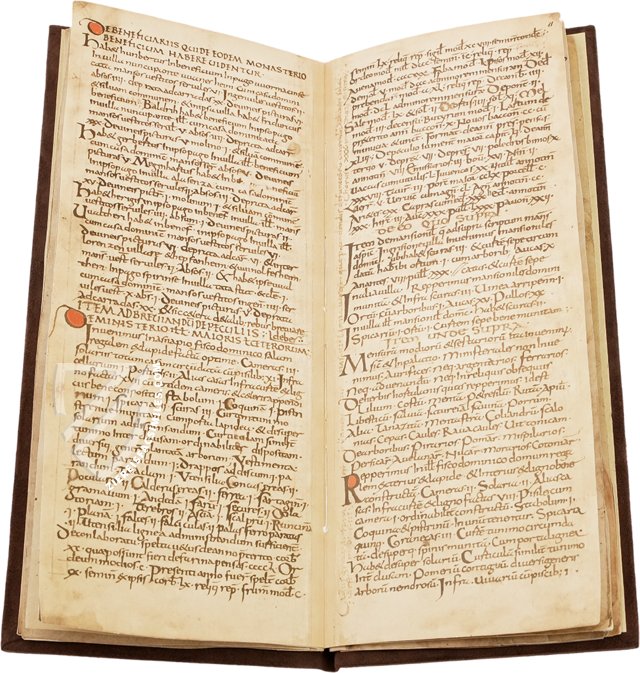 Capitulare de Villis – Müller & Schindler – Cod. Guelf. 254 Helmst. – Herzog August Bibliothek (Wolfenbüttel, Germany) Facsimile Edition