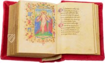 Capponi-Ridolfi Prayer Book – Vallecchi – Cod. Ricc. 483 – Biblioteca Riccardiana (Florence, Italy)