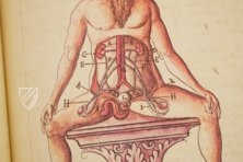 Caspar Stromayr - Practica Copiosa – Facsimila Art & Edition – P. I. 46 – Ehemals Reichsstädtische Bibliothek Lindau (Lindau, Germany)