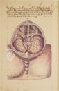 Caspar Stromayr - Practica Copiosa – Facsimila Art & Edition – P. I. 46 – Ehemals Reichsstädtische Bibliothek Lindau (Lindau, Germany)