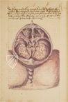 Caspar Stromayr - Practica Copiosa – Facsimila Art & Edition – P. I. 46 – Ehemals Reichsstädtische Bibliothek Lindau (Lindau, Germany)